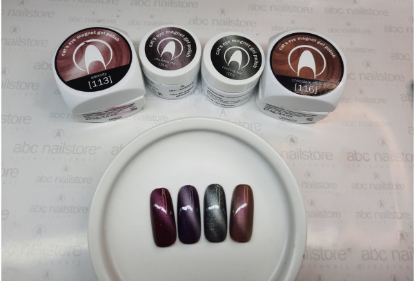 cats eye magnet gel polish eternity #113, 5gr. Art.2342-113